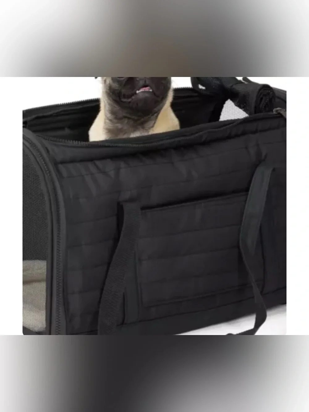 Top Paw Travel Airline Pet Carrier - Dog and Cat Carrier, max 20 lbs